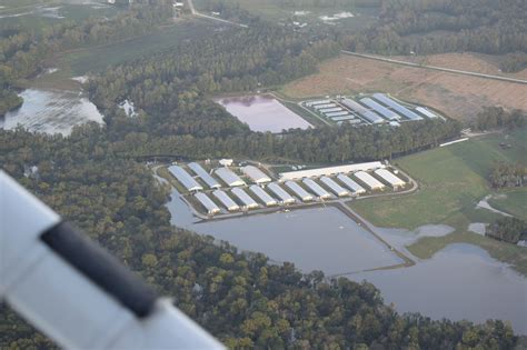 how are coal ash ponds similar to hog waste lagoons